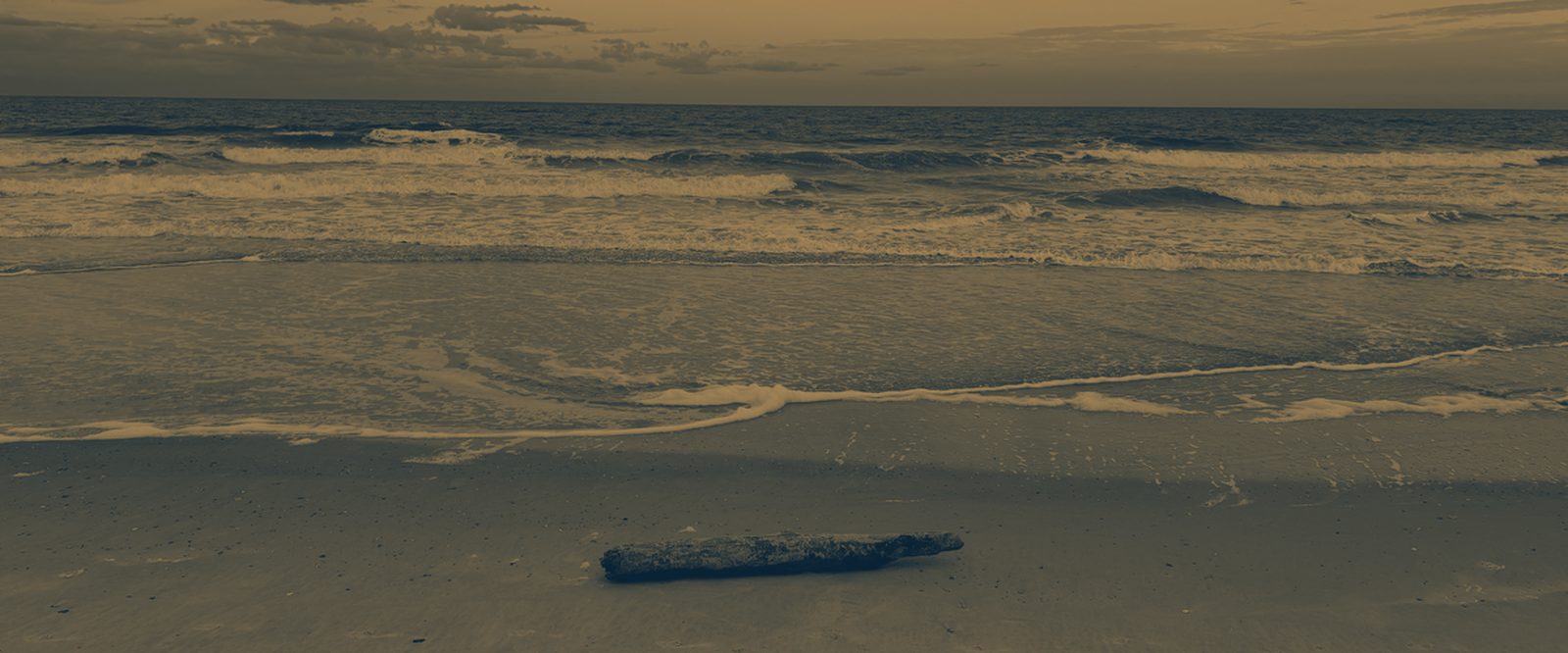 Main Beach at sunset, surf running up the sand and a driftwood log left by the tide